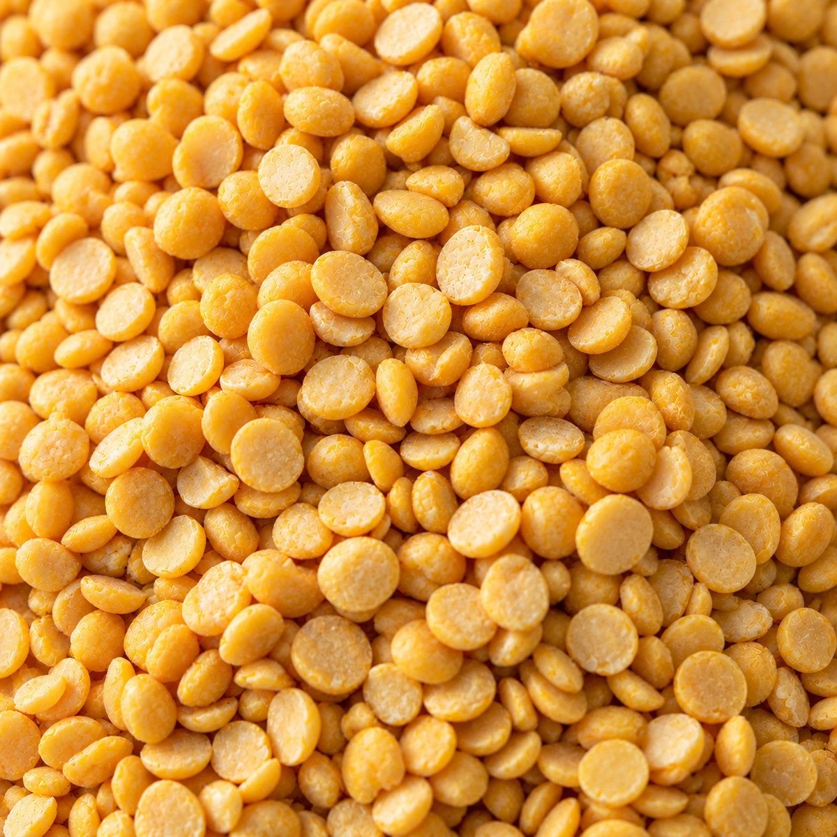 Chana Dal close-up