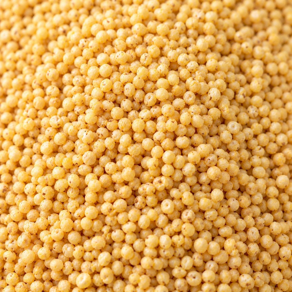 Foxtail Millet close-up