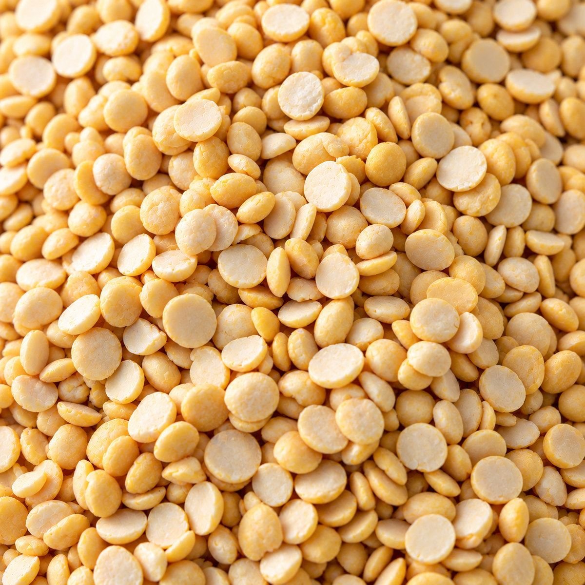 Fried Gram close-up
