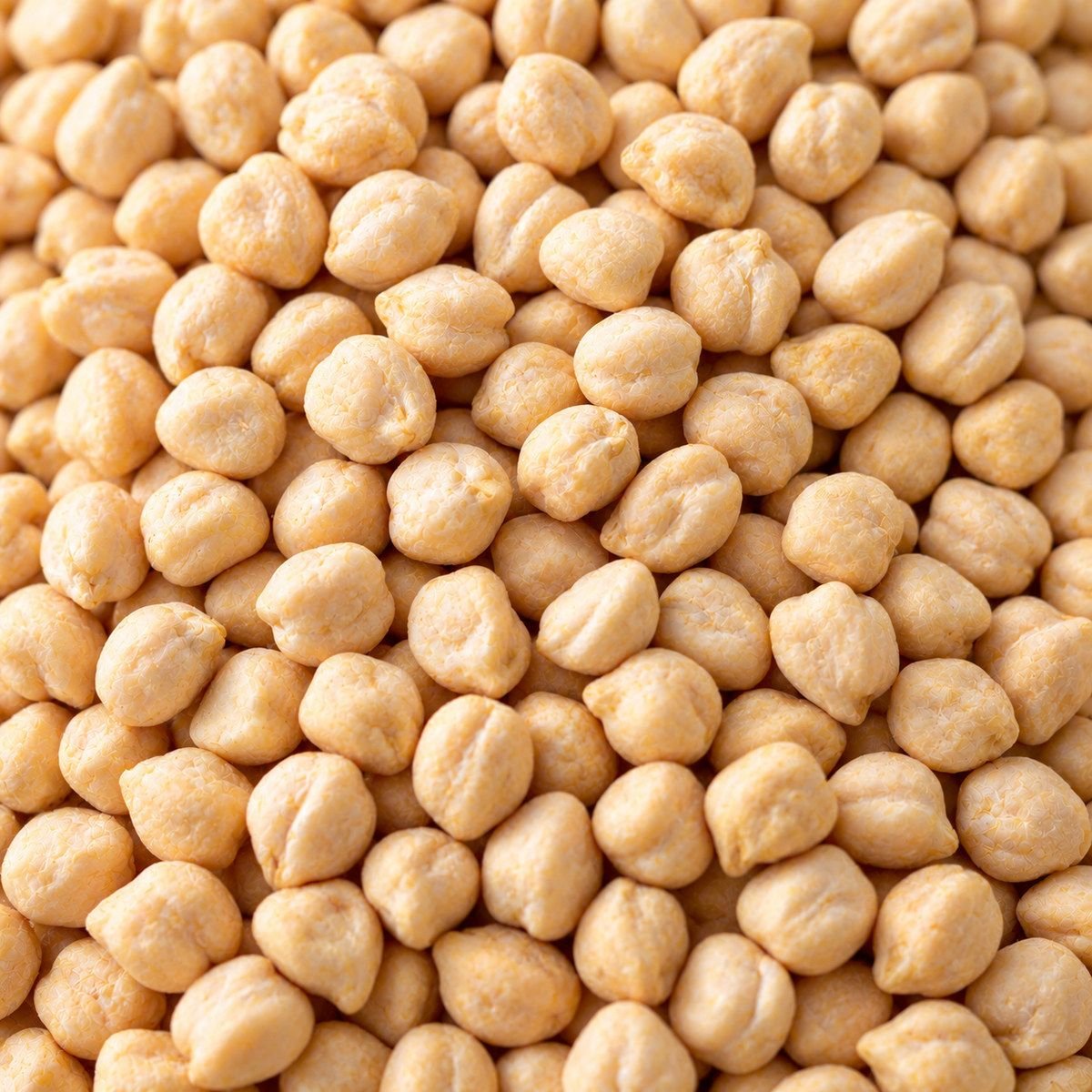 Kabuli Chana close-up