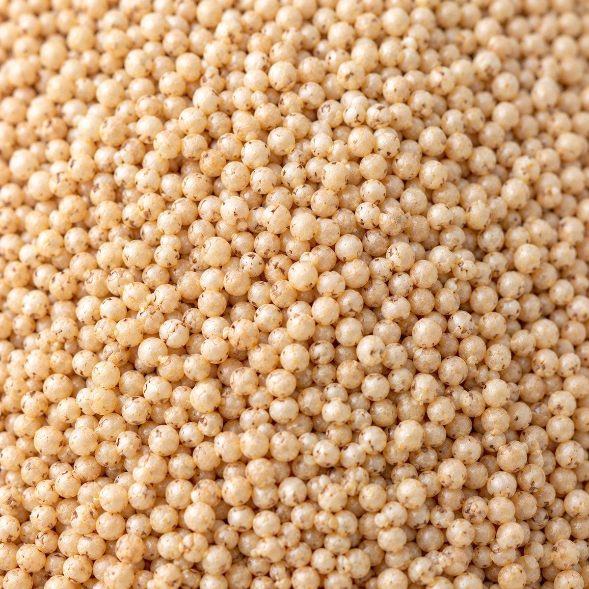 Kodo Millet close-up