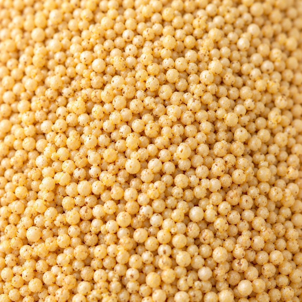 Little Millet close-up