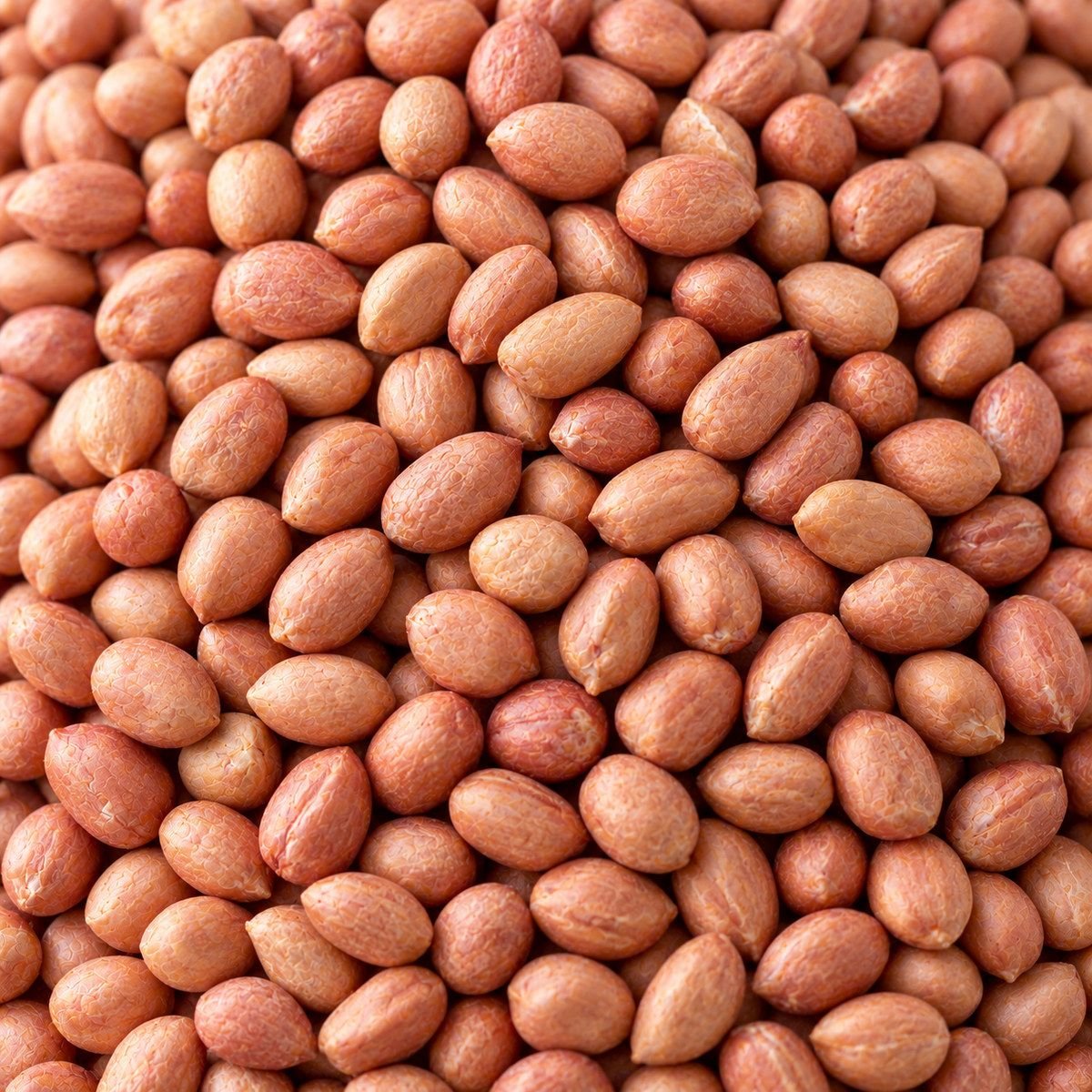 Peanut close-up