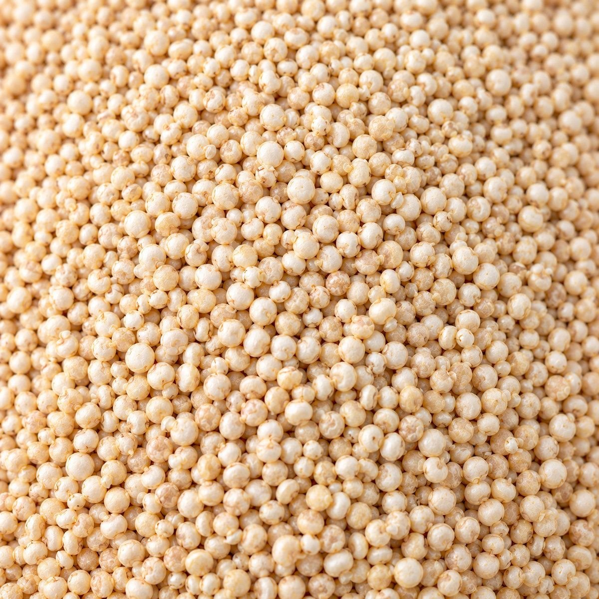 Quinoa close-up